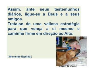 Assim, ante seus testemunhos
diários, ligue-se a Deus e a seus
amigos.
Trata-se de uma valiosa estratégia
para que vença a si mesmo e
caminhe firme em direção ao Alto.
( Momento Espírita )
Imagem da internet
 