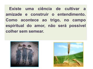 Existe uma ciência de cultivar a
amizade e construir o entendimento.
Como acontece ao trigo, no campo
espiritual do amor, não será possível
colher sem semear.
 