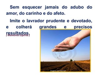 Sem esquecer jamais do adubo do
amor, do carinho e do afeto.
Imite o lavrador prudente e devotado,
e colherá grandes e precisos
resultados.( Momento Espírita )
Imagem da internet
 