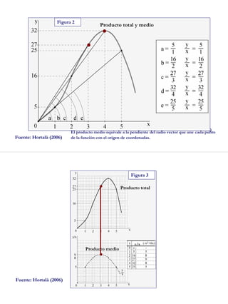 9
Figura 2
Fuente: Hortalà (2006)
El producto medio equivale a la pendiente del radio vector que une cada punto
de la función con el origen de coordenadas.
Producto total y medio
●
●
10
Figura 3
Fuente: Hortalà (2006)
Producto total
Producto medio
y/x
●
●
 