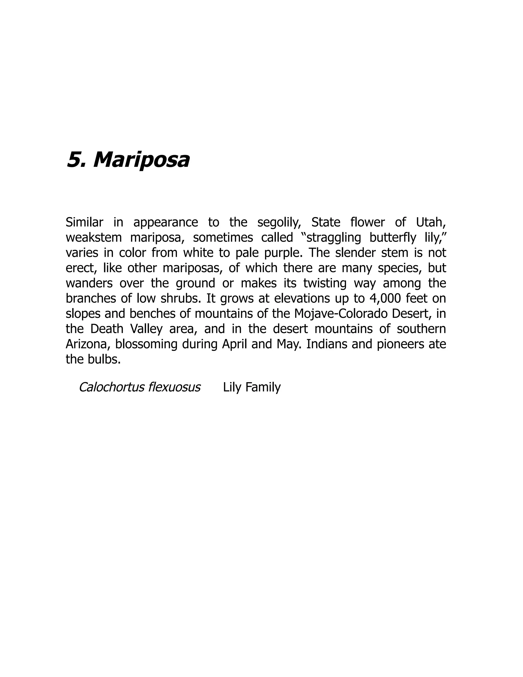 5. Mariposa
Similar in appearance to the segolily, State flower of Utah,
weakstem mariposa, sometimes called “straggling butterfly lily,”
varies in color from white to pale purple. The slender stem is not
erect, like other mariposas, of which there are many species, but
wanders over the ground or makes its twisting way among the
branches of low shrubs. It grows at elevations up to 4,000 feet on
slopes and benches of mountains of the Mojave-Colorado Desert, in
the Death Valley area, and in the desert mountains of southern
Arizona, blossoming during April and May. Indians and pioneers ate
the bulbs.
Calochortus flexuosus Lily Family
 