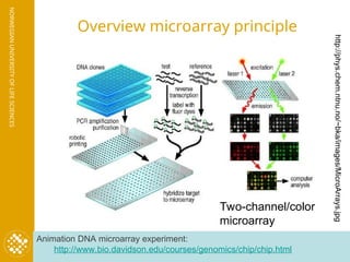 21102010_Microarraymicro array array .ppt
