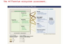 The Millennium ecosystem assessment.
 