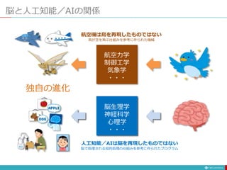 脳と人工知能／AIの関係
航空力学
制御工学
気象学
・・・
脳生理学
神経科学
心理学
・・・
独自の進化
人工知能／AIは脳を再現したものではない
脳で処理される知的処理の仕組みを参考に作られたプログラム
航空機は鳥を再現したものではない
鳥が空を飛ぶ仕組みを参考に作られた機械
 