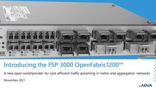 Introducing the FSP 3000 OpenFabric1200™
November 2021
A new open switchponder for cost-efficient traffic grooming in metro and aggregation networks
 