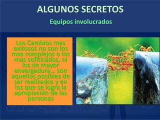 ALGUNOS SECRETOS
Los Cambios mas
exitosos no son los
mas complejos o los
mas sofiticados, ni
los de mayor
envergadura… son
aquellos posibles de
ser realizados y en
los que se logra la
apropiación de las
personas
Equipos involucrados
 