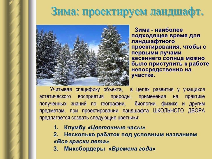 Ландшафтный дизайн школьного двора 39 Ландшафтный дизайн школьного двора 40