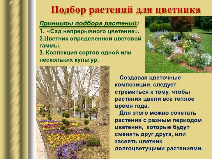 Благоустройство школьного двора и прилегающей к нему территории - презентация он