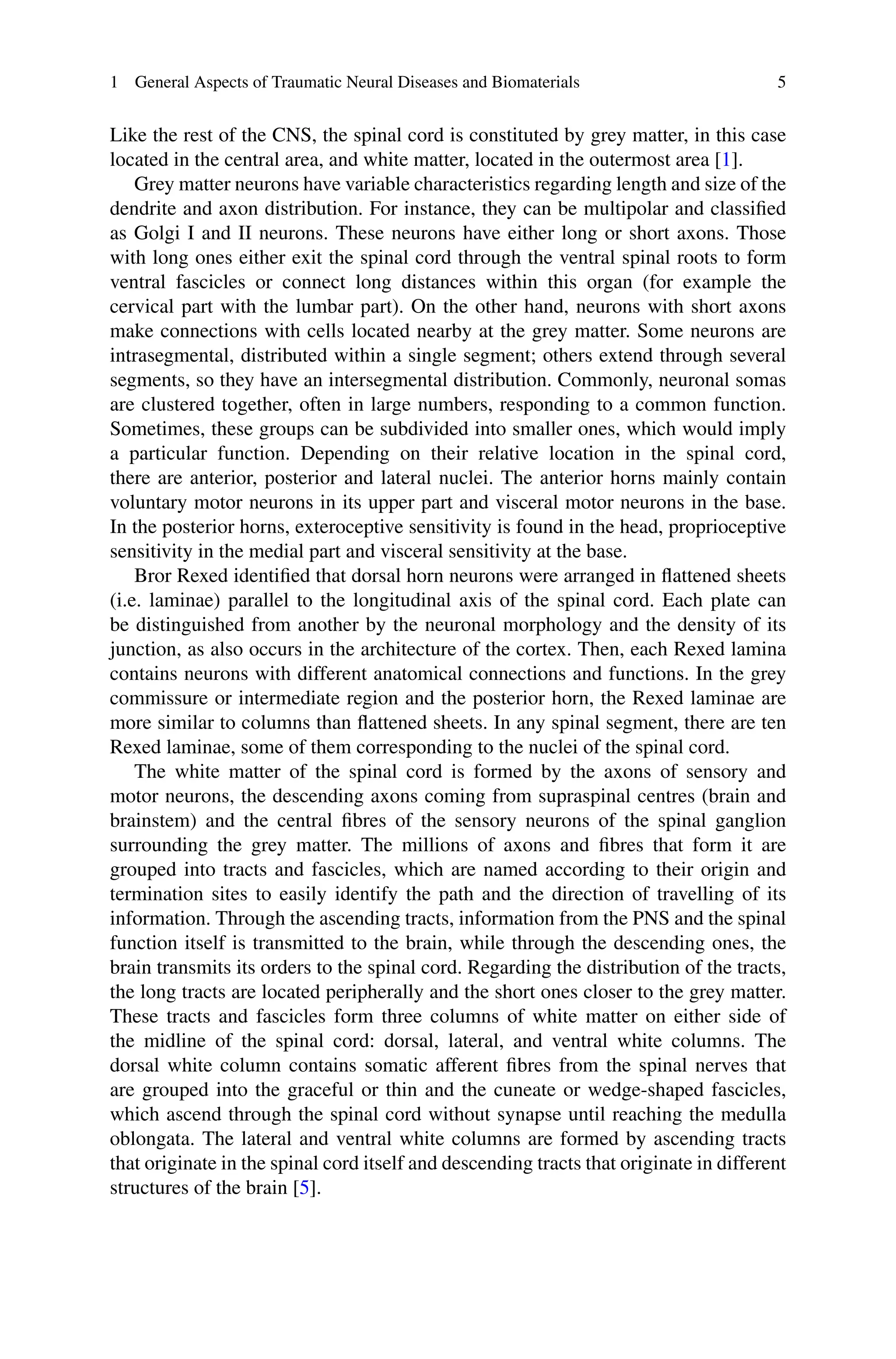 1 General Aspects of Traumatic Neural Diseases and Biomaterials 5
Like the rest of the CNS, the spinal cord is constituted by grey matter, in this case
located in the central area, and white matter, located in the outermost area [1].
Grey matter neurons have variable characteristics regarding length and size of the
dendrite and axon distribution. For instance, they can be multipolar and classified
as Golgi I and II neurons. These neurons have either long or short axons. Those
with long ones either exit the spinal cord through the ventral spinal roots to form
ventral fascicles or connect long distances within this organ (for example the
cervical part with the lumbar part). On the other hand, neurons with short axons
make connections with cells located nearby at the grey matter. Some neurons are
intrasegmental, distributed within a single segment; others extend through several
segments, so they have an intersegmental distribution. Commonly, neuronal somas
are clustered together, often in large numbers, responding to a common function.
Sometimes, these groups can be subdivided into smaller ones, which would imply
a particular function. Depending on their relative location in the spinal cord,
there are anterior, posterior and lateral nuclei. The anterior horns mainly contain
voluntary motor neurons in its upper part and visceral motor neurons in the base.
In the posterior horns, exteroceptive sensitivity is found in the head, proprioceptive
sensitivity in the medial part and visceral sensitivity at the base.
Bror Rexed identified that dorsal horn neurons were arranged in flattened sheets
(i.e. laminae) parallel to the longitudinal axis of the spinal cord. Each plate can
be distinguished from another by the neuronal morphology and the density of its
junction, as also occurs in the architecture of the cortex. Then, each Rexed lamina
contains neurons with different anatomical connections and functions. In the grey
commissure or intermediate region and the posterior horn, the Rexed laminae are
more similar to columns than flattened sheets. In any spinal segment, there are ten
Rexed laminae, some of them corresponding to the nuclei of the spinal cord.
The white matter of the spinal cord is formed by the axons of sensory and
motor neurons, the descending axons coming from supraspinal centres (brain and
brainstem) and the central fibres of the sensory neurons of the spinal ganglion
surrounding the grey matter. The millions of axons and fibres that form it are
grouped into tracts and fascicles, which are named according to their origin and
termination sites to easily identify the path and the direction of travelling of its
information. Through the ascending tracts, information from the PNS and the spinal
function itself is transmitted to the brain, while through the descending ones, the
brain transmits its orders to the spinal cord. Regarding the distribution of the tracts,
the long tracts are located peripherally and the short ones closer to the grey matter.
These tracts and fascicles form three columns of white matter on either side of
the midline of the spinal cord: dorsal, lateral, and ventral white columns. The
dorsal white column contains somatic afferent fibres from the spinal nerves that
are grouped into the graceful or thin and the cuneate or wedge-shaped fascicles,
which ascend through the spinal cord without synapse until reaching the medulla
oblongata. The lateral and ventral white columns are formed by ascending tracts
that originate in the spinal cord itself and descending tracts that originate in different
structures of the brain [5].
 