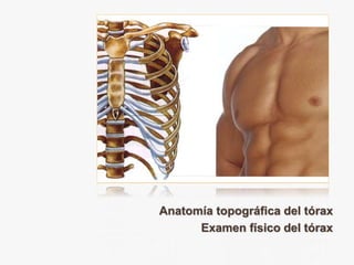 Anatomía topográfica del tórax
Examen físico del tórax
 