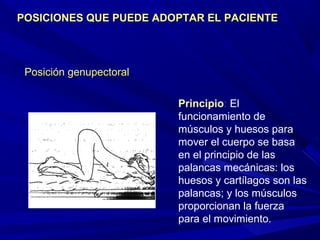 Posición genupectoralPosición genupectoral
Principio: El
funcionamiento de
músculos y huesos para
mover el cuerpo se basa
en el principio de las
palancas mecánicas: los
huesos y cartílagos son las
palancas; y los músculos
proporcionan la fuerza
para el movimiento.
POSICIONES QUE PUEDE ADOPTAR EL PACIENTEPOSICIONES QUE PUEDE ADOPTAR EL PACIENTE
 