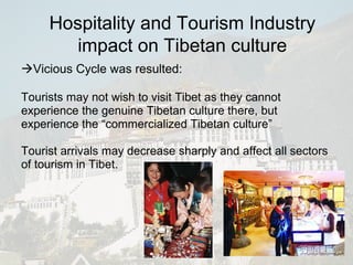 Tourists may not wish to visit Tibet as they cannot experience the genuine Tibetan culture there, but experience the “commercialized Tibetan culture” Tourist arrivals may decrease sharply and affect all sectors of tourism in Tibet.  Vicious Cycle was resulted: Hospitality and Tourism Industry impact on Tibetan culture 