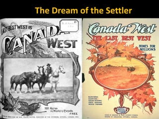 The Dream of the Settler

 