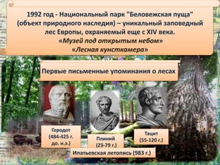 1992 год - Национальный парк "Беловежская пуща"
(объект природного наследия) – уникальный заповедный
лес Европы, охраняемый еще с XIV века.
«Музей под открытым небом»
«Лесная кунсткамера»
Первые письменные упоминания о лесах
Геродот
(484-425 г.
до. н.э.)
Плиний
(23-79 г.)
Тацит
(55-120 г.)
Ипатьевская летопись (983 г.)
 