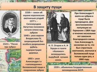 Н. П. Огарев и А. И
Герцен в газете
«Колокол»
возмущались
вырубкой лучших
сосен.
1523 г. "Песня
пра зубра»
В защиту пущи
1558 г - закон об
охране королевских
охотничьих угодий
1577 г. -
Сигизмундом
Августом положено
начало опеки над
зубром
1640 г. указ короля
Владислава IV,
запрещавший без
особого разрешения
рубить
сырорастущие
деревья.
1802 г. указ
Александра I о
«заповедании»
Беловежской пущи и
сохранении зубров
При Александре II
охота на зубров в
пуще была
прекращена. Для
восстановления
популяции из
Германии с 1864 года
в течение нескольких
лет завозили
благородного оленя.
Сам Александр II,
несмотря на то, что
был страстным
охотником, охотился в
Беловежской пуще
только один раз, в
1860 году.
1939 г. объявлена Государственным
заповедником БССР.
 