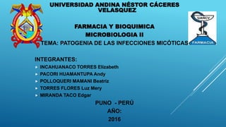 UNIVERSIDAD ANDINA NÉSTOR CÁCERES
VELASQUEZ
FARMACIA Y BIOQUIMICA
MICROBIOLOGIA II
TEMA: PATOGENIA DE LAS INFECCIONES MICÓTICAS
INTEGRANTES:
 INCAHUANACO TORRES Elizabeth
 PACORI HUAMANTUPA Andy
 POLLOQUERI MAMANI Beatriz
 TORRES FLORES Luz Mery
 MIRANDA TACO Edgar
PUNO - PERÚ
AÑO:
2016
 