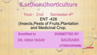 Year- 2nd Semester-4th
ENT -426
(Insects,Pests of Fruits,Plantation
and Medicinal Crop.
 