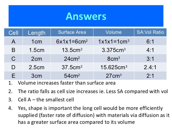 2 1 2 2 2 3 cells as cell size increases the