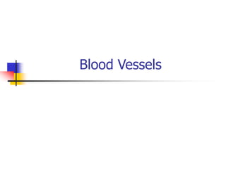 Blood Vessels
 