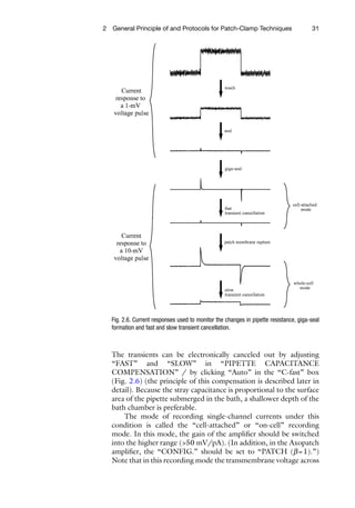 Patch Clamp Techniques From Beginning To Advanced Protocols 1st Edition ...