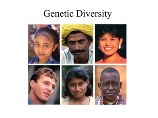 Genetic Diversity
 