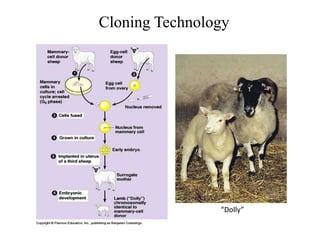Cloning Technology
“Dolly”
 