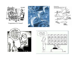 Designer Baby talk 10-9-13