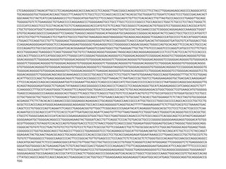 CTCGAGGGGCCTAGACATTGCCCTCCAGAGAGAGCACCCAACACCCTCCAGGCTTGACCGGCCAGGGTGTCCCCTTCCTACCTTGGAGAGAGCAGCCCCAGGGCATCC
TGCAGGGGGTGCTGGGACACCAGCTGGCCTTCAAGGTCTCTGCCTCCCTCCAGCCACCCCACTACACGCTGCTGGGATCCTGGATCTCAGCTCCCTGGCCGACAACACT
GGCAAACTCCTACTCATCCACGAAGGCCCTCCTGGGCATGGTGGTCCTTCCCAGCCTGGCAGTCTGTTCCTCACACACCTTGTTAGTGCCCAGCCCCTGAGGTTGCAGC
TGGGGGTGTCTCTGAAGGGCTGTGAGCCCCCAGGAAGCCCTGGGGAAGTGCCTGCCTTGCCTCCCCCCGGCCCTGCCAGCGCCTGGCTCTGCCCTCCTACCTGGGCTC
CCCCCATCCAGCCTCCCTCCCTACACACTCCTCTCAAGGAGGCACCCATGTCCTCTCCAGCTGCCGGGCCTCAGAGCACTGTGGCGTCCTGGGGCAGCCACCGCATGTC
CTGCTGTGGCATGGCTCAGGGTGGAAAGGGCGGAAGGGAGGGGTCCTGCAGATAGCTGGTGCCCACTACCAAACCCGCTCGGGGCAGGAGAGCCAAAGGCTGGGT
GTGTGCAGAGCGGCCCCGAGAGGTTCCGAGGCTGAGGCCAGGGTGGGACATAGGGATGCGAGGGGCCGGGGCACAGGATACTCCAACCTGCCTGCCCCCATGGTCT
CATCCTCCTGCTTCTGGGACCTCCTGATCCTGCCCCTGGTGCTAAGAGGCAGGTAAGGGGCTGCAGGCAGCAGGGCTCGGAGCCCATGCCCCCTCACCATGGGTCAGG
CTGGACCTCCAGGTGCCTGTTCTGGGGAGCTGGGAGGGCCGGAGGGGTGTACCCCAGGGGCTCAGCCCAGATGACACTATGGGGGTGATGGTGTCATGGGACCTGG
CCAGGAGAGGGGAGATGGGCTCCCAGAAGAGGAGTGGGGGCTGAGAGGGTGCCTGGGGGGCCAGGACGGAGCTGGGCCAGTGCACAGCTTCCCACACCTGCCCAC
CCCCAGAGTCCTGCCGCCACCCCCAGATCACACGGAAGATGAGGTCCGAGTGGCCTGCTGAGGACTTGCTGCTTGTCCCCAGGTCCCCAGGTCATGCCCTCCTTCTGCC
ACCCTGGGGAGCTGAGGGCCTCAGCTGGGGCTGCTGTCCTAAGGCAGGGTGGGAACTAGGCAGCCAGCAGGGAGGGGACCCCTCCCTCACTCCCACTCTCCCACCCC
CACCACCTTGGCCCATCCATGGCGGCATCTTGGGCCATCCGGGACTGGGGACAGGGGTCCTGGGGACAGGGGTCCGGGGACAGGGTCCTGGGGACAGGGGTGTGG
GGACAGGGGTCTGGGGACAGGGGTGTGGGGACAGGGGTGTGGGGACAGGGGTCTGGGGACAGGGGTGTGGGGACAGGGGTCCGGGGACAGGGGTGTGGGGACA
GGGGTCTGGGGACAGGGGTGTGGGGACAGGGGTGTGGGGACAGGGGTCTGGGGACAGGGGTGTGGGGACAGGGGTCCTGGGGACAGGGGTGTGGGGACAGGG
GTGTGGGGACAGGGGTGTGGGGACAGGGGTGTGGGGACAGGGGTCCTGGGGATAGGGGTGTGGGGACAGGGGTGTGGGGACAGGGGTCCCGGGGACAGGGGTG
TGGGGACAGGGGTGTGGGGACAGGGGTCCTGGGGACAGGGGTCTGAGGACAGGGGTGTGGGCACAGGGGTCCTGGGGACAGGGGTCCTGGGGACAGGGGTCCTG
GGGACAGGGGTCTGGGGACAGCAGCGCAAAGAGCCCCGCCCTGCAGCCTCCAGCTCTCCTGGTCTAATGTGGAAAGTGGCCCAGGTGAGGGCTTTGCTCTCCTGGAG
ACATTTGCCCCCAGCTGTGAGCAGGGACAGGTCTGGCCACCGGGCCCCTGGTTAAGACTCTAATGACCCGCTGGTCCTGAGGAAGAGGTGCTGACGACCAAGGAGAT
CTTCCCACAGACCCAGCACCAGGGAAATGGTCCGGAAATTGCAGCCTCAGCCCCCAGCCATCTGCCGACCCCCCCACCCCGCCCTAATGGGCCAGGCGGCAGGGGTTG
ACAGGTAGGGGAGATGGGCTCTGAGACTATAAAGCCAGCGGGGGCCCAGCAGCCCTCAGCCCTCCAGGACAGGCTGCATCAGAAGAGGCCATCAAGCAGGTCTGTT
CCAAGGGCCTTTGCGTCAGGTGGGCTCAGGGTTCCAGGGTGGCTGGACCCCAGGCCCCAGCTCTGCAGCAGGGAGGACGTGGCTGGGCTCGTGAAGCATGTGGGGG
TGAGCCCAGGGGCCCCAAGGCAGGGCACCTGGCCTTCAGCCTGCCTCAGCCCTGCCTGTCTCCCAGATCACTGTCCTTCTGCCATGGCCCTGTGGATGCGCCTCCTGCC
CCTGCTGGCGCTGCTGGCCCTCTGGGGACCTGACCCAGCCGCAGCCTTTGTGAACCAACACCTGTGCGGCTCACACCTGGTGGAAGCTCTCTACCTAGTGTGCGGGGA
ACGAGGCTTCTTCTACACACCCAAGACCCGCCGGGAGGCAGAGGACCTGCAGGGTGAGCCAACCGCCCATTGCTGCCCCTGGCCGCCCCCAGCCACCCCCTGCTCCTG
GCGCTCCCACCCAGCATGGGCAGAAGGGGGCAGGAGGCTGCCACCCAGCAGGGGGTCAGGTGCACTTTTTTAAAAAGAAGTTCTCTTGGTCACGTCCTAAAAGTGAC
CAGCTCCCTGTGGCCCAGTCAGAATCTCAGCCTGAGGACGGTGTTGGCTTCGGCAGCCCCGAGATACATCAGAGGGTGGGCACGCTCCTCCCTCCACTCGCCCCTCAA
ACAAATGCCCCGCAGCCCATTTCTCCACCCTCATTTGATGACCGCAGATTCAAGTGTTTTGTTAAGTAAAGTCCTGGGTGACCTGGGGTCACAGGGTGCCCCACGCTGC
CTGCCTCTGGGCGAACACCCCATCACGCCCGGAGGAGGGCGTGGCTGCCTGCCTGAGTGGGCCAGACCCCTGTCGCCAGCCTCACGGCAGCTCCATAGTCAGGAGAT
GGGGAAGATGCTGGGGACAGGCCCTGGGGAGAAGTACTGGGATCACCTGTTCAGGCTCCCACTGTGACGCTGCCCCGGGGCGGGGGAAGGAGGTGGGACATGTGG
GCGTTGGGGCCTGTAGGTCCACACCCAGTGTGGGTGACCCTCCCTCTAACCTGGGTCCAGCCCGGCTGGAGATGGGTGGGAGTGCGACCTAGGGCTGGCGGGCAGG
CGGGCACTGTGTCTCCCTGACTGTGTCCTCCTGTGTCCCTCTGCCTCGCCGCTGTTCCGGAACCTGCTCTGCGCGGCACGTCCTGGCAGTGGGGCAGGTGGAGCTGGG
CGGGGGCCCTGGTGCAGGCAGCCTGCAGCCCTTGGCCCTGGAGGGGTCCCTGCAGAAGCGTGGCATTGTGGAACAATGCTGTACCAGCATCTGCTCCCTCTACCAGCT
GGAGAACTACTGCAACTAGACGCAGCCTGCAGGCAGCCCCACACCCGCCGCCTCCTGCACCGAGAGAGATGGAATAAAGCCCTTGAACCAGCCCTGCTGTGCCGTCTG
TGTGTCTTGGGGGCCCTGGGCCAAGCCCCACTTCCCGGCACTGTTGTGAGCCCCTCCCAGCTCTCTCCACGCTCTCTGGGTGCCCACAGGTGCCAACGCCAGGCAGGCC
CAGCATGCAGTGGCTCTCCCCAAAGCGGCCATGCCTGTTGGCTGCCTGCTGCCCCCACCCTGTGGCTCAGGGTCCAGTATGGGAGCTTCGGGGGTCTCTGAGGGGCCA
GGGATGGTGGGGCCACTGAGAAGTGACTCTGTCAGTAGCCGACCTGGAGTCCCCAGAGACCTTGTTCAGGAAAGGGAATGAGAACATTCCAGCAATTTTCCCCCCACC
TAGCCCTCCCAGGTTCTATTTTTAGAGTTATTTCTGATGGAGTCCCTGTGGAGGGAGGAGGCTGGGCTGAGGGAGGGGGTCCTGCAGGGCGGGGGGCTGGGAAGGT
GGGGAGAGGCTGCCGAGAGCCACCCGCTATCCCCAGCTCTGGGCAGCCCCGGGACAGTCACACACCCTGGCCTCGCGGCCCAAGCTGGCAGCCGTCTGCAGCCACAG
CTTATGCCAGCCCAGGTCCAGCCAGACACCTGAGGGACCCACTGGTGCCTTGGAGGAAGCAGGAGAGGTCAGATGGCACCATGAGCTGGGGCAGGTGCAGGGACCG
TGG
 