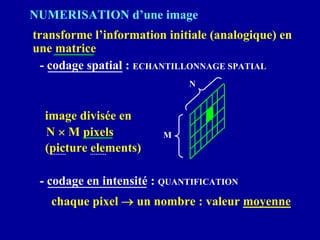 NUMERISATION d’une image
transforme l’information initiale (analogique) en
une matrice
- codage spatial : ECHANTILLONNAGE SPATIAL
image divisée en
N × M pixels
(picture elements)
- codage en intensité : QUANTIFICATION
chaque pixel → un nombre : valeur moyenne
M
N
 