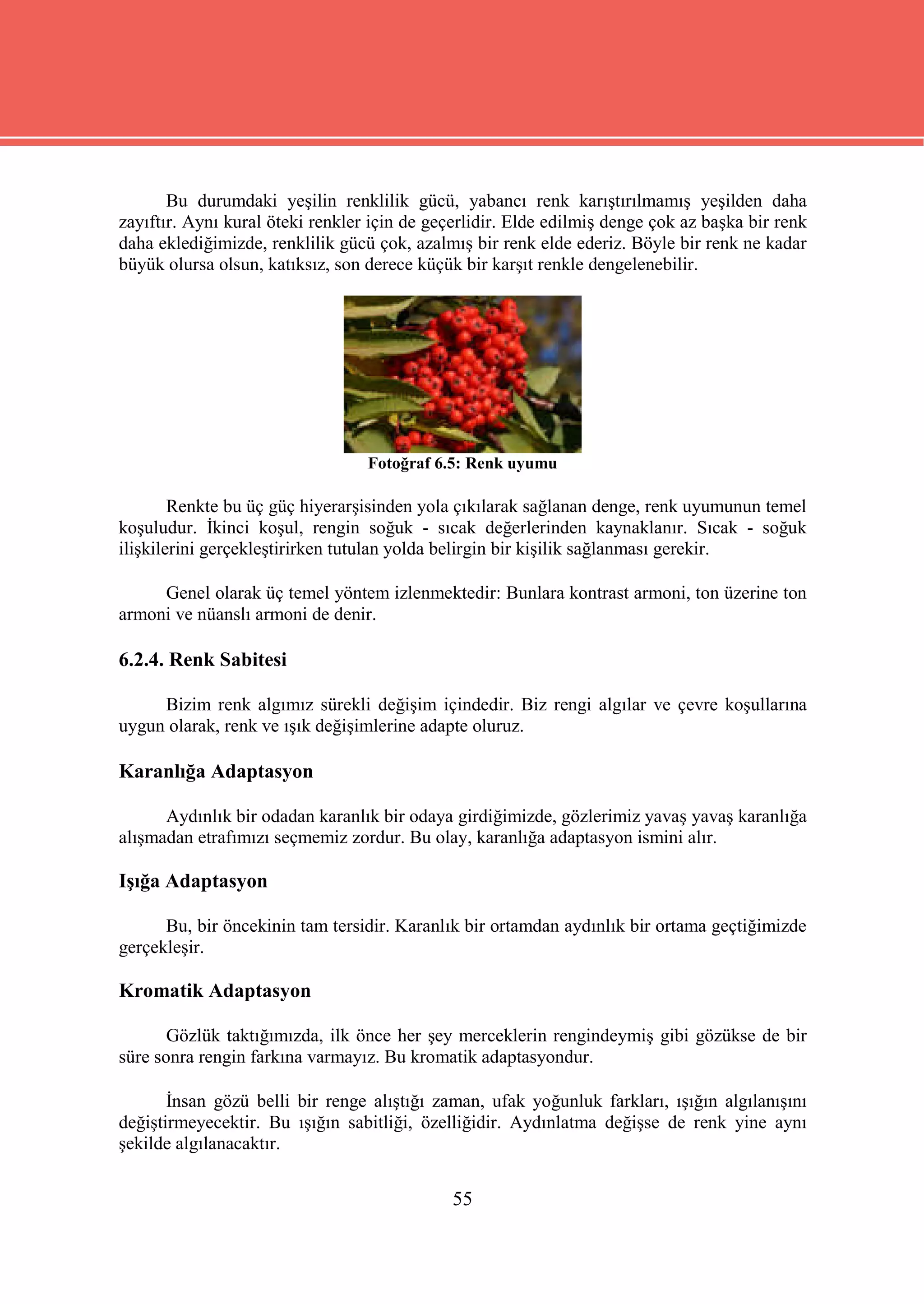Bu durumdaki yeşilin renklilik gücü, yabancı renk karıştırılmamış yeşilden daha
zayıftır. Aynı kural öteki renkler için de geçerlidir. Elde edilmiş denge çok az başka bir renk
daha eklediğimizde, renklilik gücü çok, azalmış bir renk elde ederiz. Böyle bir renk ne kadar
büyük olursa olsun, katıksız, son derece küçük bir karşıt renkle dengelenebilir.




                                  Fotoğraf 6.5: Renk uyumu

        Renkte bu üç güç hiyerarşisinden yola çıkılarak sağlanan denge, renk uyumunun temel
koşuludur. İkinci koşul, rengin soğuk - sıcak değerlerinden kaynaklanır. Sıcak - soğuk
ilişkilerini gerçekleştirirken tutulan yolda belirgin bir kişilik sağlanması gerekir.

     Genel olarak üç temel yöntem izlenmektedir: Bunlara kontrast armoni, ton üzerine ton
armoni ve nüanslı armoni de denir.

6.2.4. Renk Sabitesi

     Bizim renk algımız sürekli değişim içindedir. Biz rengi algılar ve çevre koşullarına
uygun olarak, renk ve ışık değişimlerine adapte oluruz.

Karanlığa Adaptasyon

      Aydınlık bir odadan karanlık bir odaya girdiğimizde, gözlerimiz yavaş yavaş karanlığa
alışmadan etrafımızı seçmemiz zordur. Bu olay, karanlığa adaptasyon ismini alır.

Işığa Adaptasyon

      Bu, bir öncekinin tam tersidir. Karanlık bir ortamdan aydınlık bir ortama geçtiğimizde
gerçekleşir.

Kromatik Adaptasyon

       Gözlük taktığımızda, ilk önce her şey merceklerin rengindeymiş gibi gözükse de bir
süre sonra rengin farkına varmayız. Bu kromatik adaptasyondur.

       İnsan gözü belli bir renge alıştığı zaman, ufak yoğunluk farkları, ışığın algılanışını
değiştirmeyecektir. Bu ışığın sabitliği, özelliğidir. Aydınlatma değişse de renk yine aynı
şekilde algılanacaktır.


                                              55
 