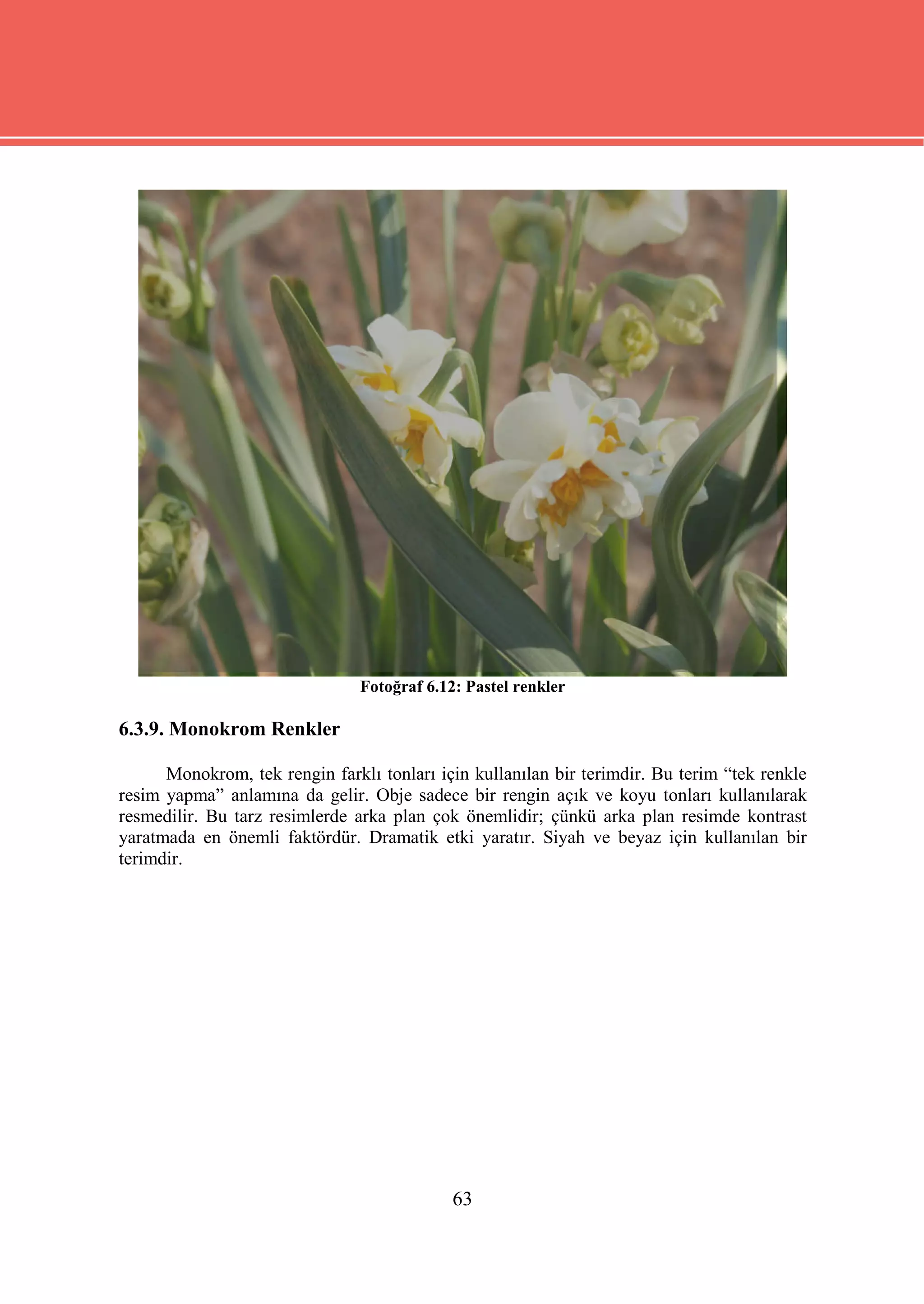 Fotoğraf 6.12: Pastel renkler

6.3.9. Monokrom Renkler

      Monokrom, tek rengin farklı tonları için kullanılan bir terimdir. Bu terim “tek renkle
resim yapma” anlamına da gelir. Obje sadece bir rengin açık ve koyu tonları kullanılarak
resmedilir. Bu tarz resimlerde arka plan çok önemlidir; çünkü arka plan resimde kontrast
yaratmada en önemli faktördür. Dramatik etki yaratır. Siyah ve beyaz için kullanılan bir
terimdir.




                                             63
 
