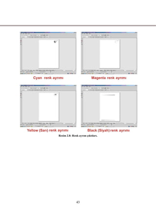 Resim 2.8: Renk ayrım çıktıları.




              43
 