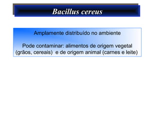 Bacillus cereusBacillus cereusBacillus cereusBacillus cereus
Amplamente distribuído no ambiente
Pode contaminar: alimentos de origem vegetal
(grãos, cereais) e de origem animal (carnes e leite)
 