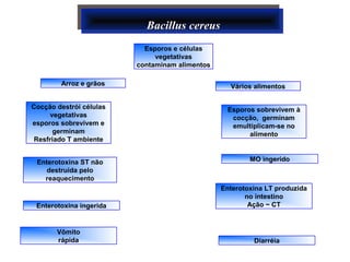 Esporos e células
vegetativas
contaminam alimentos
Bacillus cereusBacillus cereusBacillus cereusBacillus cereus
Vários alimentos
Cocção destrói células
vegetativas
esporos sobrevivem e
germinam
Resfriado T ambiente
Enterotoxina ST não
destruída pelo
reaquecimento
Enterotoxina ingerida
Vômito
rápida
MO ingerido
Enterotoxina LT produzida
no intestino
Ação ~ CT
Diarréia
Arroz e grãos
Esporos sobrevivem à
cocção, germinam
emultiplicam-se no
alimento
 