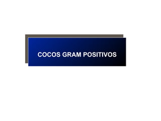 COCOS GRAM POSITIVOS
COCOS GRAM POSITIVOS
 