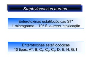 Staphylococcus aureusStaphylococcus aureus
Enterotoxinas estafilocócicas ST*
1 micrograma – 105
S. aureus intoxicação
Enterotoxinas estafilocócicas
10 tipos: A*, B, C1, C2, C3, D, E, H, G, I
 