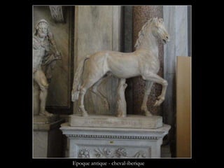 Epoque antique - cheval-iberique 