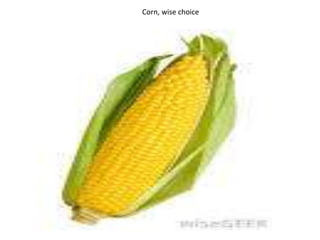 Corn, wise choice
 