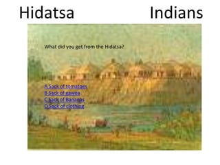 Hidatsa Indians
What did you get from the Hidatsa?
A Sack of tomatoes
B Sack of gawea
C Sack of Bananas
D Sack of clothing
 