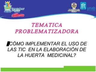 TEMATICA PROBLEMATIZADORA ¿ CÓMO IMPLEMENTAR EL USO DE LAS TIC  EN LA ELABORACIÓN DE LA HUERTA  MEDICINAL? 