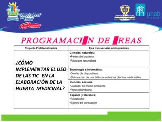 PROGRAMACIÓN DE ÁREAS Pregunta Problematizadora Ejes transversales o integradores ¿CÓMO IMPLEMENTAR EL USO DE LAS TIC  EN LA ELABORACIÓN DE LA HUERTA  MEDICINAL? Ciencias naturales: Partes de la planta  Recursos renovables Tecnología e informática: Diseño de diapositivas. Elaboración de una bitácora sobre las plantas medicinales. Ciencias sociales: Cuidado del medio ambiente. Flora colombiana. Español y literatura: Redacción. Signos de puntuación. 