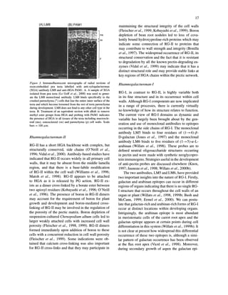Plant Cell Walls Nick Carpita Mary Tierney Malcolm Campbell Auth | PDF