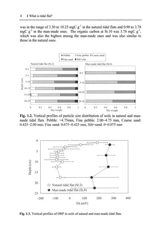 4 1 What is tidal flat?
was in the range of 3.30 to 10.25 mgC g-I in the natural tidal flats and 0.90 to 3.78
mgC g-l in the man-made ones. The organic carbon at SUO was 3.78 mgC ii,
which was also the highest among the man-made ones and was also similar to
those in the natural ones.
3lUrailidai nat (SI.2) Man-made tidal n", ($1.8)
10._0P======r:::==~
•
"-
5 I- •
I•..,.
'.
5 .-
0·5 !1-----------J------I
5- 10f-'---------.......- ............-I
0.8
0.4 0.6
Dry weighl
0.2
o
20-30t::::::===========~
0.4 0.6 0.8
Dry eighl
0.2
o
20-2
15-2
0·2
2-5
.[ 5·1
.c
E.
Q 10·1
Fig. 1.2. Vertical profiles of particle size distribution of soils in natural and man-
made tidal flats. Pebble: >4.75mm, Fine pebble: 2.00~4.75 mm, Coarse sand:
0.425~2.00 mm, Fine sand: O.075~0.425 mm, Silt+sand: O~O.075 mm
400
300
200
100
Eh (mV)
o
-100
-0- Natural tidal flat (St.2)
'-:-:::--:-=-::-::---e----------<
-e- Man-made tidal flat (St.8)
0
5
E 10
~
..<::
c..
0)
15
Cl
20
25
-200
Fig. 1.3. Vertical profiles ofORP in soils ofnatural and man-made tidal flats
 