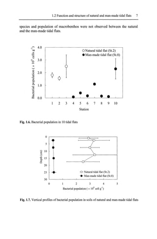 1.2 Function and structure ofnatural and man-made tidal flats 7
species and population of macrobenthos were not observed between the natural
and the man-made tidal flats.
~
4.0
OJ)
oNatural tidal flat (St.2)
$;I
• Man-made tidal flat (St.8)
a>
u
'" 3.0
t
0
-
x
'-'
~
2.0
.8
¢
~
Q
'3
0..
0
•
0..
1.0
<a
.;::
Il)
.....
u
ro
o:l 0.0
2 3 4 5 6 7 8 9 10
Station
Fig. 1.6. Bacterial population in 10 tidal flats
o
5
~ 10
t 15
~
20
25 -0- Natural tidal flat (St.2)
... Man-made tidal flat (St.8)
5
1 2 3 4
Bacterial population (x 109
cell gO')
30 '------'-------'------'------'------'
o
Fig. 1.7. Vertical profiles ofbacterial population in soils ofnatural and man-made tidal flats
 