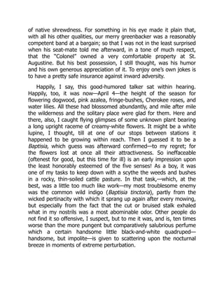 of native shrewdness. For something in his eye made it plain that,
with all his other qualities, our merry greenbacker was a reasonably
competent band at a bargain; so that I was not in the least surprised
when his seat-mate told me afterward, in a tone of much respect,
that the “Colonel” owned a very comfortable property at St.
Augustine. But his best possession, I still thought, was his humor
and his own generous appreciation of it. To enjoy one’s own jokes is
to have a pretty safe insurance against inward adversity.
Happily, I say, this good-humored talker sat within hearing.
Happily, too, it was now—April 4—the height of the season for
flowering dogwood, pink azalea, fringe-bushes, Cherokee roses, and
water lilies. All these had blossomed abundantly, and mile after mile
the wilderness and the solitary place were glad for them. Here and
there, also, I caught flying glimpses of some unknown plant bearing
a long upright raceme of creamy-white flowers. It might be a white
lupine, I thought, till at one of our stops between stations it
happened to be growing within reach. Then I guessed it to be a
Baptisia, which guess was afterward confirmed—to my regret; for
the flowers lost at once all their attractiveness. So ineffaceable
(oftenest for good, but this time for ill) is an early impression upon
the least honorably esteemed of the five senses! As a boy, it was
one of my tasks to keep down with a scythe the weeds and bushes
in a rocky, thin-soiled cattle pasture. In that task,—which, at the
best, was a little too much like work—my most troublesome enemy
was the common wild indigo (Baptisia tinctoria), partly from the
wicked pertinacity with which it sprang up again after every mowing,
but especially from the fact that the cut or bruised stalk exhaled
what in my nostrils was a most abominable odor. Other people do
not find it so offensive, I suspect, but to me it was, and is, ten times
worse than the more pungent but comparatively salubrious perfume
which a certain handsome little black-and-white quadruped—
handsome, but impolite—is given to scattering upon the nocturnal
breeze in moments of extreme perturbation.
 