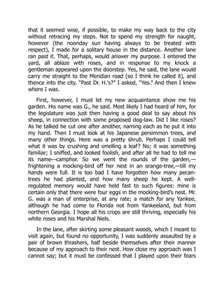 that it seemed wise, if possible, to make my way back to the city
without retracing my steps. Not to spend my strength for naught,
however (the noonday sun having always to be treated with
respect), I made for a solitary house in the distance. Another lane
ran past it. That, perhaps, would answer my purpose. I entered the
yard, all ablaze with roses, and in response to my knock a
gentleman appeared upon the doorstep. Yes, he said, the lane would
carry me straight to the Meridian road (so I think he called it), and
thence into the city. “Past Dr. H.'s?” I asked, “Yes.” And then I knew
where I was.
First, however, I must let my new acquaintance show me his
garden. His name was G., he said. Most likely I had heard of him, for
the legislature was just then having a good deal to say about his
sheep, in connection with some proposed dog-law. Did I like roses?
As he talked he cut one after another, naming each as he put it into
my hand. Then I must look at his Japanese persimmon trees, and
many other things. Here was a pretty shrub. Perhaps I could tell
what it was by crushing and smelling a leaf? No; it was something
familiar; I sniffed, and looked foolish, and after all he had to tell me
its name—camphor. So we went the rounds of the garden,—
frightening a mocking-bird off her nest in an orange-tree,—till my
hands were full. It is too bad I have forgotten how many pecan-
trees he had planted, and how many sheep he kept. A well-
regulated memory would have held fast to such figures: mine is
certain only that there were four eggs in the mocking-bird’s nest. Mr.
G. was a man of enterprise, at any rate; a match for any Yankee,
although he had come to Florida not from Yankeeland, but from
northern Georgia. I hope all his crops are still thriving, especially his
white roses and his Marshal Niels.
In the lane, after skirting some pleasant woods, which I meant to
visit again, but found no opportunity, I was suddenly assaulted by a
pair of brown thrashers, half beside themselves after their manner
because of my approach to their nest. How close my approach was I
cannot say; but it must be confessed that I played upon their fears
 