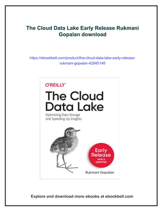The Cloud Data Lake Early Release Rukmani Gopalan | PDF