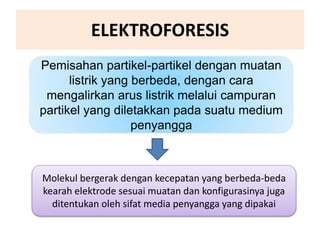 ELEKTROFORESIS
Pemisahan partikel-partikel dengan muatan
listrik yang berbeda, dengan cara
mengalirkan arus listrik melalui campuran
partikel yang diletakkan pada suatu medium
penyangga
Molekul bergerak dengan kecepatan yang berbeda-beda
kearah elektrode sesuai muatan dan konfigurasinya juga
ditentukan oleh sifat media penyangga yang dipakai
 