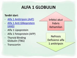 ALFA 1 GLOBULIN
Terdiri dari:
- Alfa 1 Antitripsin (AAT)
- Alfa 1 Anti Glikoprotein
(AAG)
- Alfa 1 Lipoprotein
- Alfa 1 Fetoprotein (AFP)
- Thyroid Binding
Globulin (TBG)
- Transcortin
Infeksi akut
Febris
Kehamilan
Nefrosis
Defisiensi alfa
1 antitripsin
 