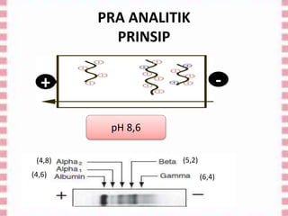 PRA ANALITIK
PRINSIP
+ -
pH 8,6
(4,6)
(4,8) (5,2)
(6,4)
 